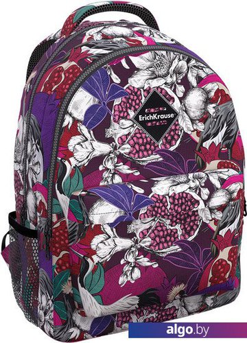 

Школьный рюкзак Erich Krause EasyLine 20L Pomegranate 51631