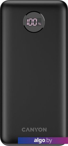 

Внешний аккумулятор Canyon PB-2002 20000mAh (черный)