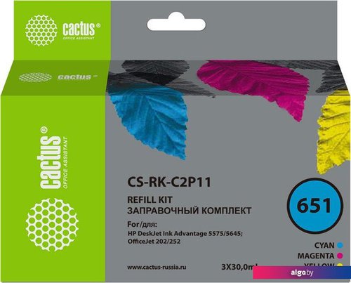 

Сервисный набор CACTUS CS-RK-C2P11