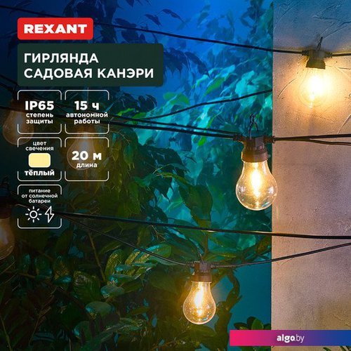 

Новогодняя гирлянда Rexant Канэри 602-2423