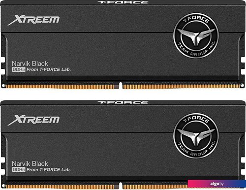 

Оперативная память Team T-Force Xtreem 2x16ГБ DDR5 6000 МГц FFXD532G6000HC30DC01