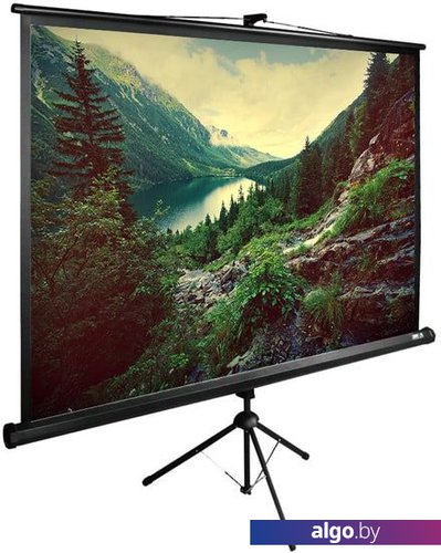 Проекционный экран CACTUS TriExpert 220x220 CS-PSTE-220X220-BK
