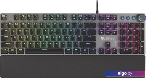 

Клавиатура Genesis Thor 400 RGB (нет кириллицы)