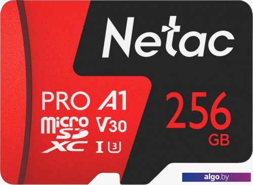 

Карта памяти Netac P500 Extreme Pro 256GB NT02P500PRO-256G-S