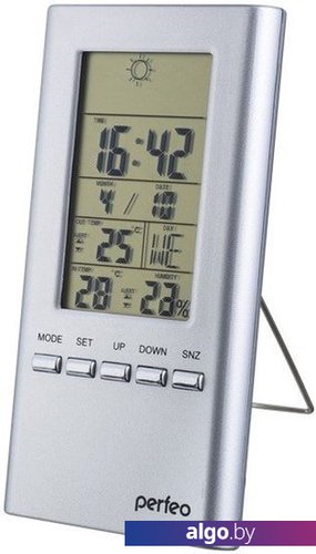 Метеостанция Perfeo Meteo PF-S3331F (серебристый)