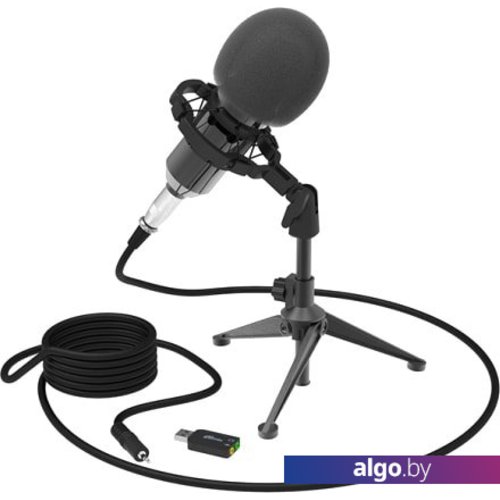 

Микрофон Ritmix RDM-160