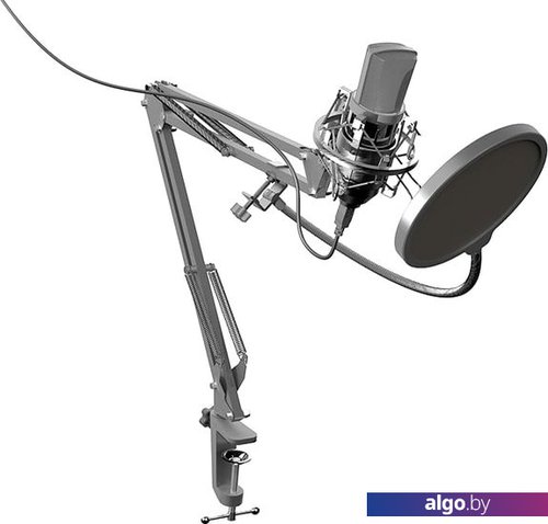 Микрофон Ritmix RDM-169 Микрофон Ritmix RDM-169
