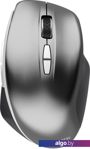 

Мышь Canyon MW-21 (графит)