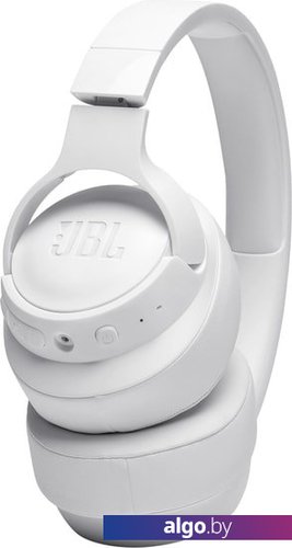 Jbl 2024 tune 110b