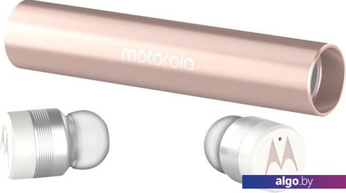 Motorola vervebuds online 300