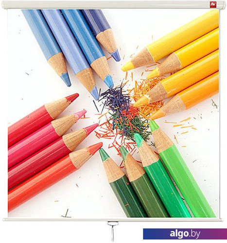 

Проекционный экран Avtek Wall 200 200x200 (1EVS04)
