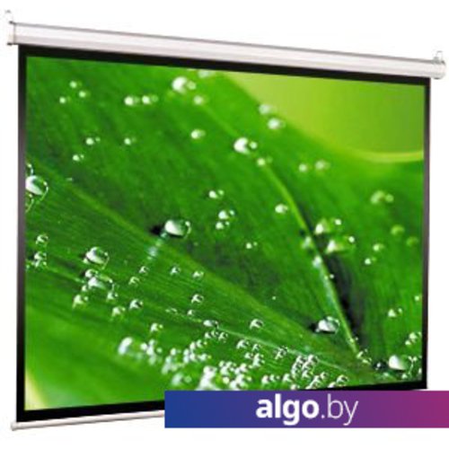 

Проекционный экран ViewScreen Scroll 200x200 [WSC-1103]