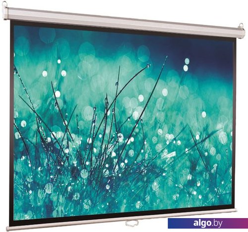 Проекционный экран ViewScreen Scroll 244х183 Проекционный экран ViewScreen Scroll 244х183