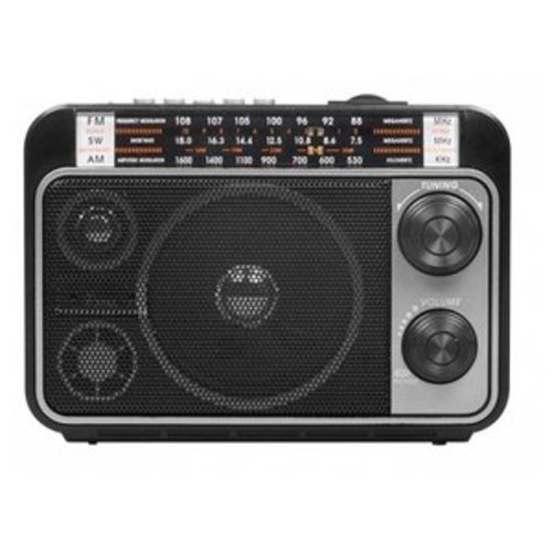 Радиоприемник Ritmix RPR-171