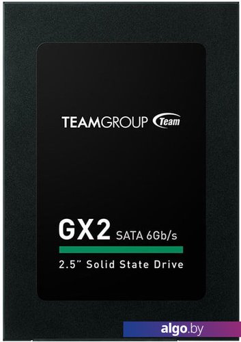 SSD Team GX2 256GB T253X2256G0C101