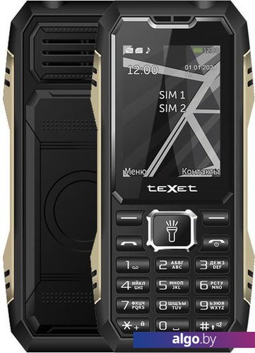 Мобильный телефон TeXet TM-D424 (черный)