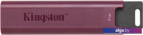 

USB Flash Kingston DataTraveler Max Type-A 1TB