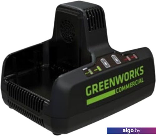 

Зарядное устройство Greenworks G82C2 (2x82В)