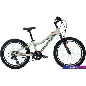 Детский велосипед Forward Twister 20 1.0 2022 (серый/оранжевый)