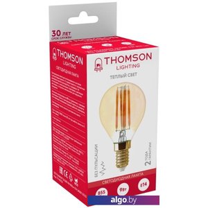 Светодиодная лампочка Thomson Filament Globe TH-B2123