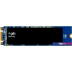 SSD Flexis Gaming 500GB FSSD2280TGP-500