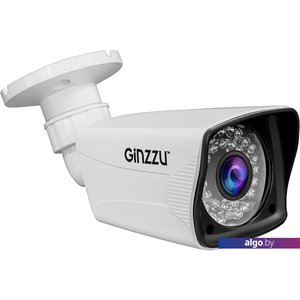 CCTV-камера Ginzzu HAB-2036P