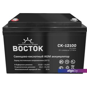 Аккумулятор для ИБП Восток СК-12100 (12В/100 А·ч)