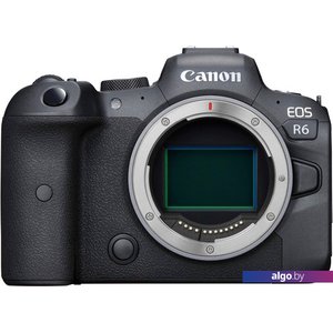 Беззеркальный фотоаппарат Canon EOS R6 Body + адаптер крепления EF-EOS R