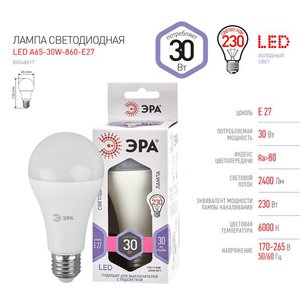 Светодиодная лампочка ЭРА STD LED A65-30W-860-E27 E27