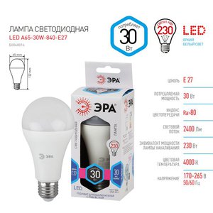 Светодиодная лампочка ЭРА STD LED A65-30W-840-E27 E27