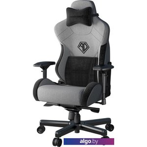 Кресло AndaSeat T-Pro 2 (серый/черный)