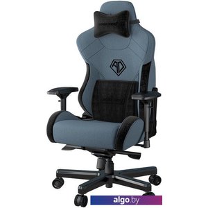 Кресло AndaSeat T-Pro 2 (голубой/черный)