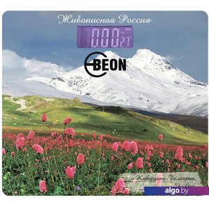 Напольные весы Beon BN-1106