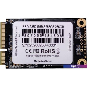 SSD AMD Radeon R5 256GB R5MS256G5