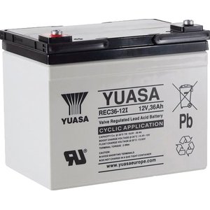 Аккумулятор для ИБП Yuasa REC36-12I (12В/36 А·ч)