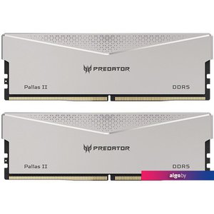 Оперативная память Acer Predator Pallas II 2x16ГБ DDR5 6600 МГц BL.9BWWR.383