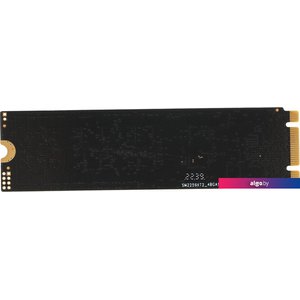 SSD PC Pet 1TB PCPS001T1