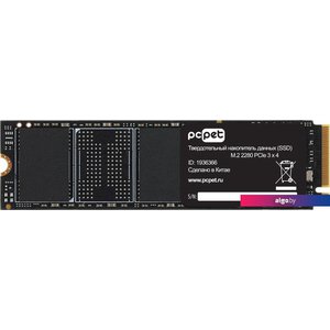 SSD PC Pet 4TB PCPS004T3