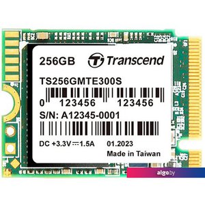 SSD Transcend 300S 256GB TS256GMTE300S