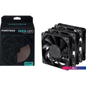 Набор вентиляторов Phanteks M25-120 PH-F120M25_PWM_BBK01_3P