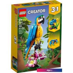 Конструктор LEGO Creator 31136 Экзотический попугай