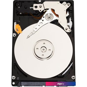 Жесткий диск Infortrend HESS10S3180-00301 1.8TB