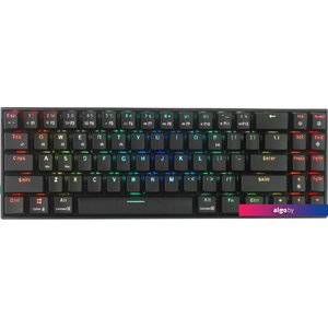 Клавиатура Royal Kludge RK71 RGB (черный, RK Red)