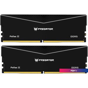 Оперативная память Acer Predator Pallas II 2x32ГБ DDR5 6400 МГц BL.9BWWR.438