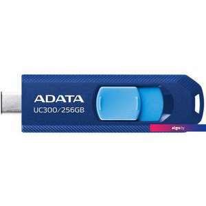 USB Flash ADATA UC300 256GB (синий/голубой)