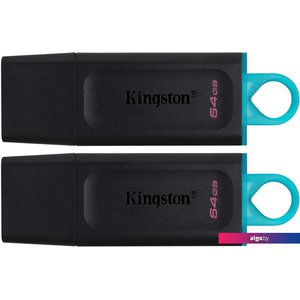 USB Flash Kingston Exodia 64GB (2шт)