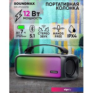 Беспроводная колонка Soundmax SM-PS5021B (черный)