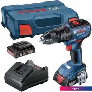 Ударная дрель-шуруповерт Bosch GSB 18V-50 Professional 06019H5120 (с 2-мя АКБ, кейс)