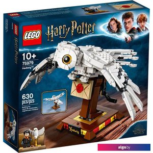 Конструктор LEGO Harry Potter 75979 Букля