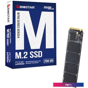 SSD BIOSTAR M760 256GB M760-256GB